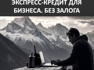 Действующий бизнес в сфере финансовых услуг