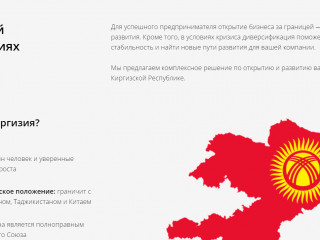Действующая компания в Киргизии (для платежных агентов, торговли)