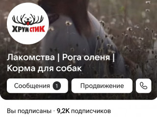 Интернет магазин лакомств для собак