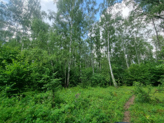 Переуступка прав аренды на участок 13Га с готовым бизнес-проектом