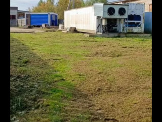 Рыбный бизнес