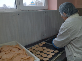 Работающий бизнес - производство рыбных снеков