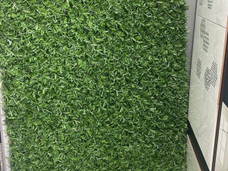 Производство «зеленых заборов», калифорнийская изгородь