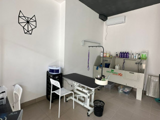 Сеть Груминг салонов