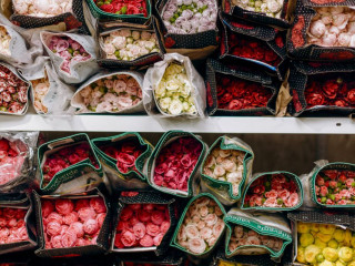 Оптово-розничные цветочные базы