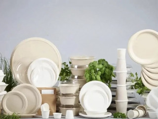 Производство одноразовой посуды и упаковки для еды