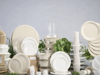 Производство одноразовой посуды и упаковки для еды