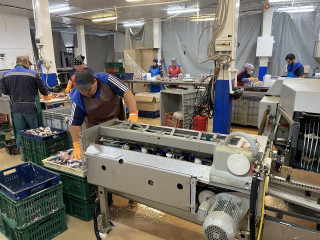 Рыбный завод в Орловской области