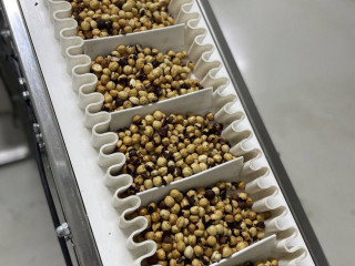 Производство ореховых и шоколадных паст