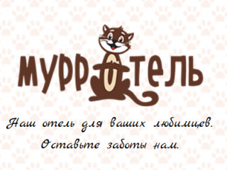 Гостиница для кошек МУРРОТЕЛЬ