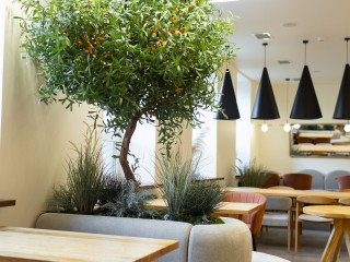 Аренда действующего ресторана