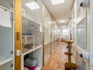 Зоогостиница в Москве