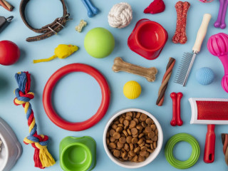 Интернет зоомагазин