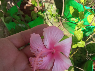 Чистое ООО «ГОРИЗОНТ» в Нижнем Новгороде (УСН, 2022 г.)