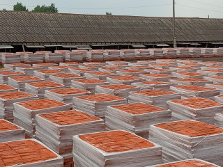 Завод по производству красного (рядового) кирпича в Тамбовской области