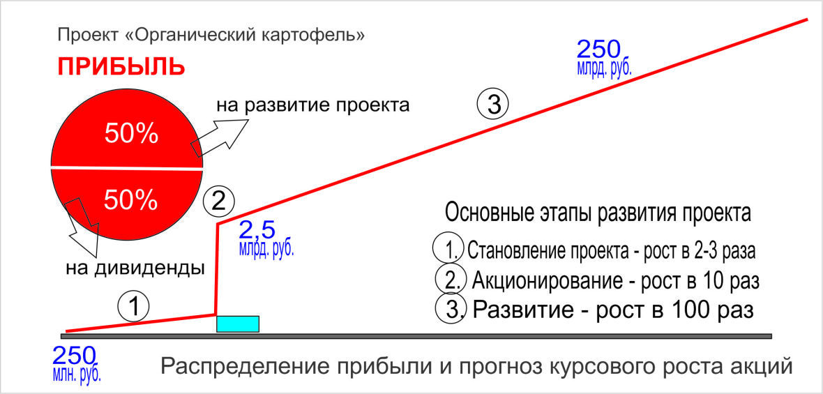 Схема показывает прогноз развития капитала от 250 млн. руб. (стартовый капитал) до 25 млрд. руб. (это всего 8% потребления). Ёмкость рынка позволяет расти дальше.