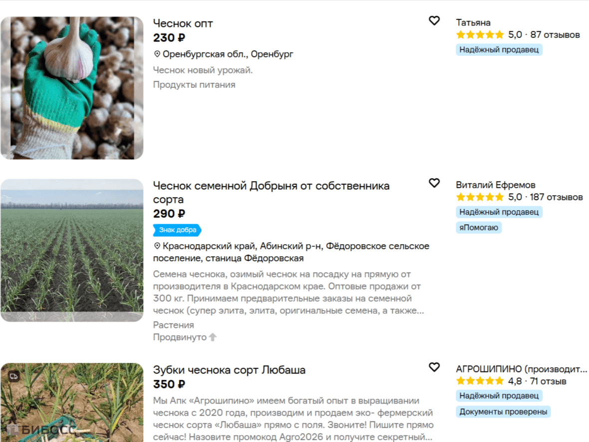 Как и где продавать выращенный чеснок