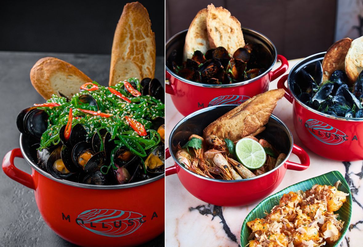 франшиза Mollusca