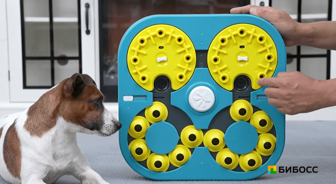 игры-головоломки для питомцев