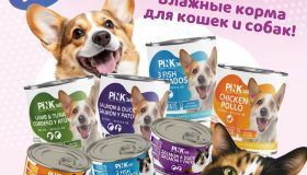 НОВЫЙ корм  Pink теперь в магазинах ЛеМуррр
