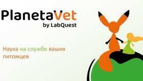 «ЛабКвест» выходит на рынок ветеринарных услуг