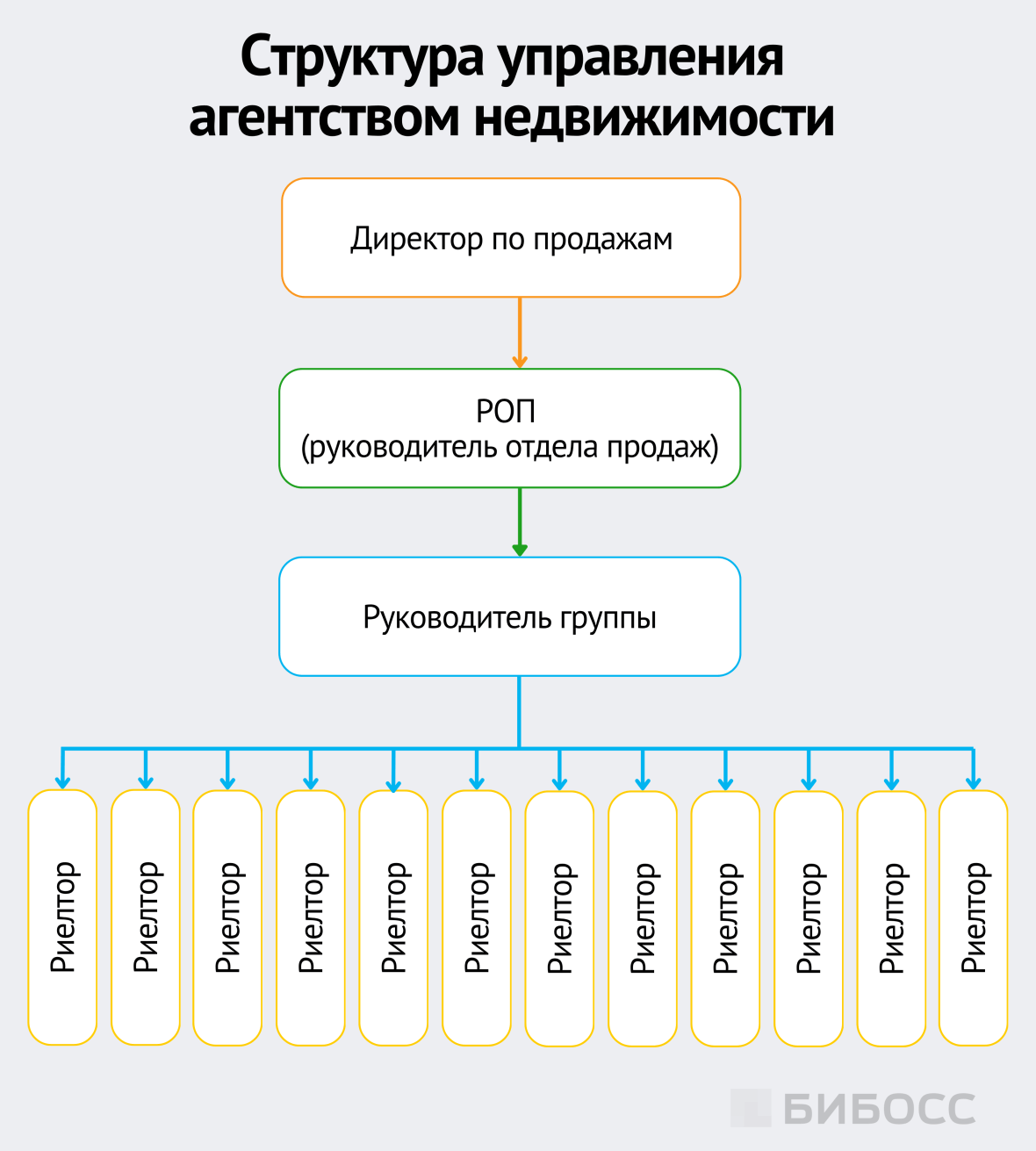 структура управления агентством недвижимости