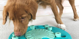 Интерактивные игрушки для питомцев
