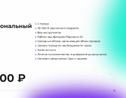 Профессиональный