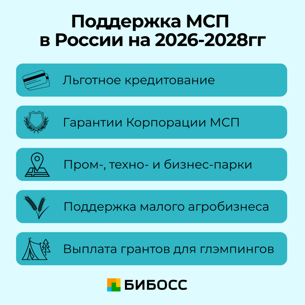 направления поддержки мсп в россии