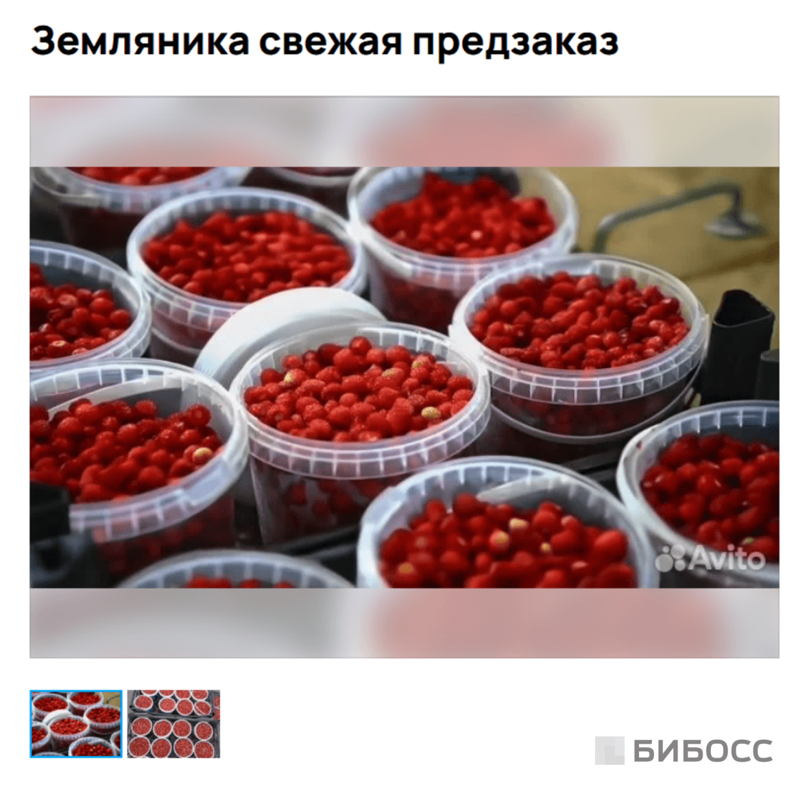 предзаказ на сбор ягод