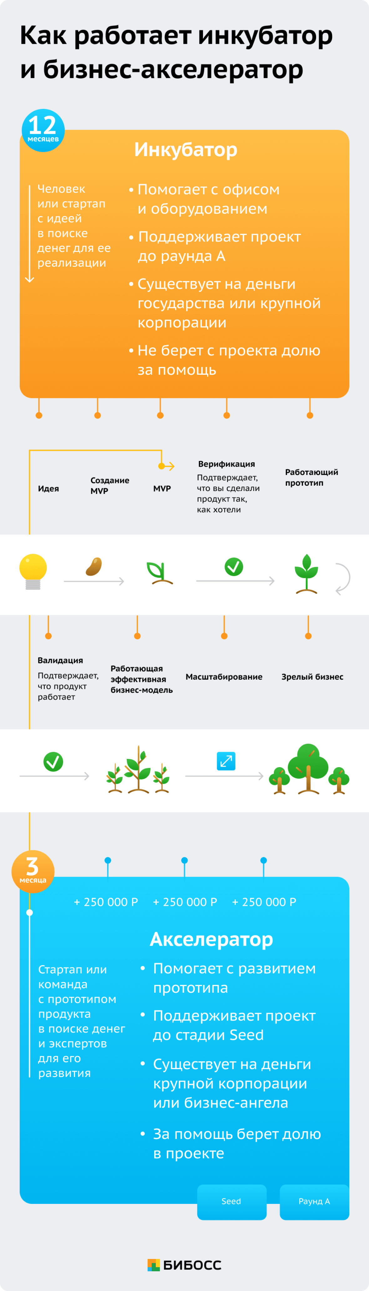 Как работают инкубаторы и бизнес-акселераторы