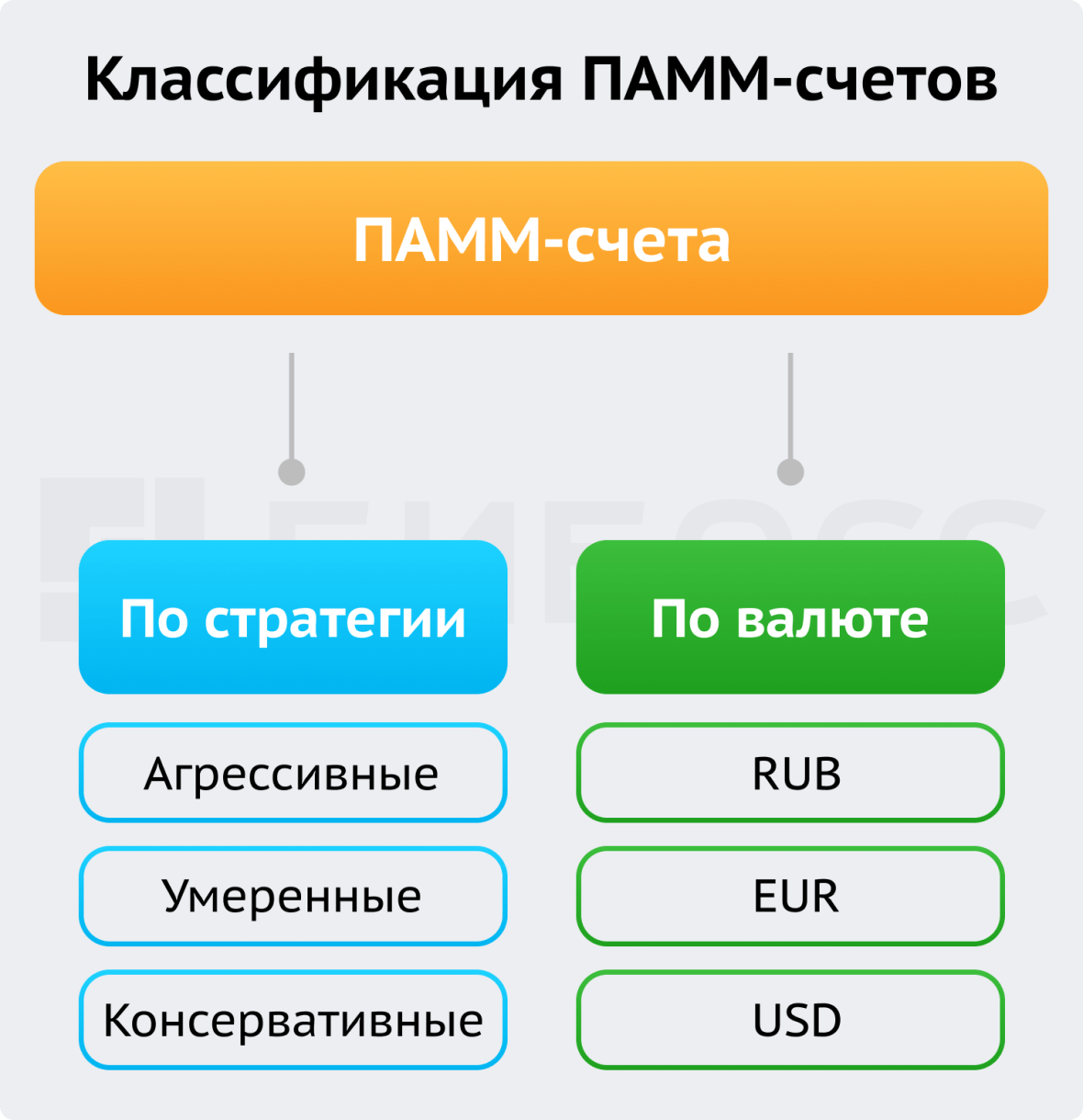 Какие бывают ПАММ-счета?&nbsp;