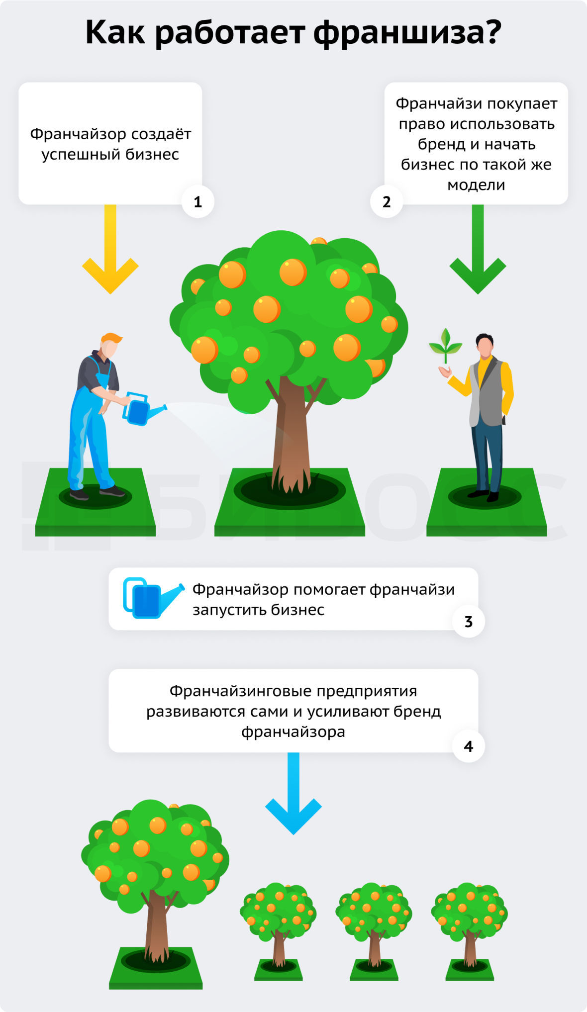 Франшиза – что это, виды, примеры. Как выбрать франшизу.