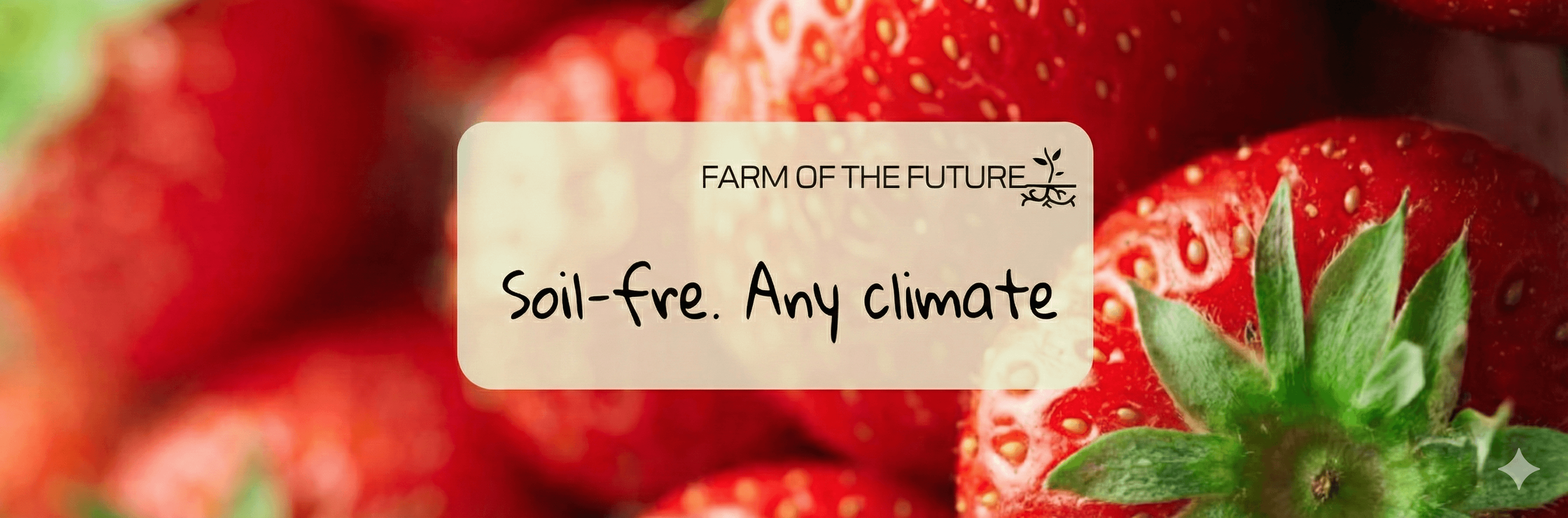 Запатентованная технология: сеть собственных ферм и бренд 