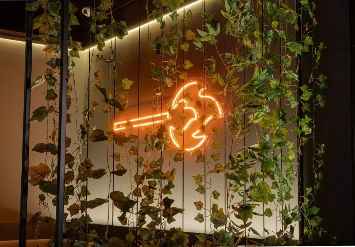 франшиза Спички