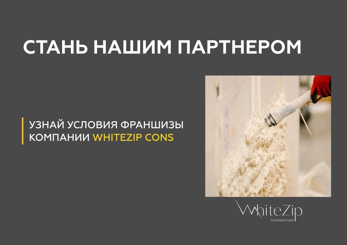 франшиза WhiteZip cons