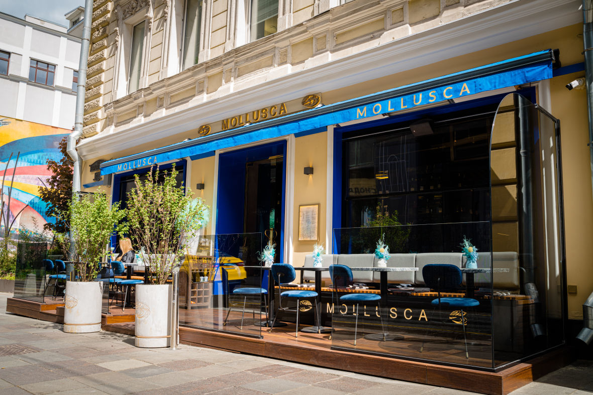 франшиза MOLLUSCA