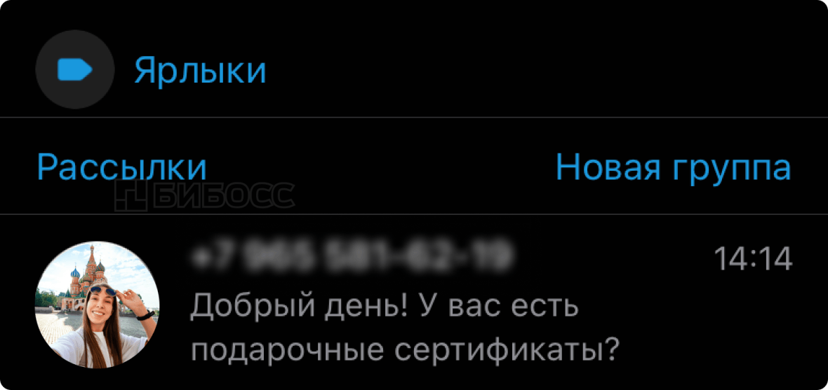 Чат с клиентом в бизнес-аккаунте WhatsApp на iPhone.