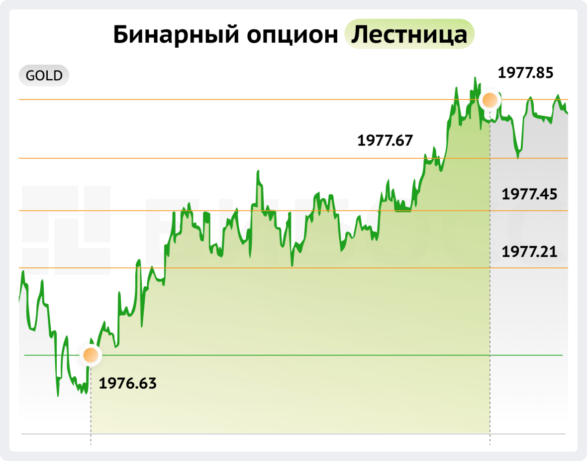 Бинарный опцион лестница