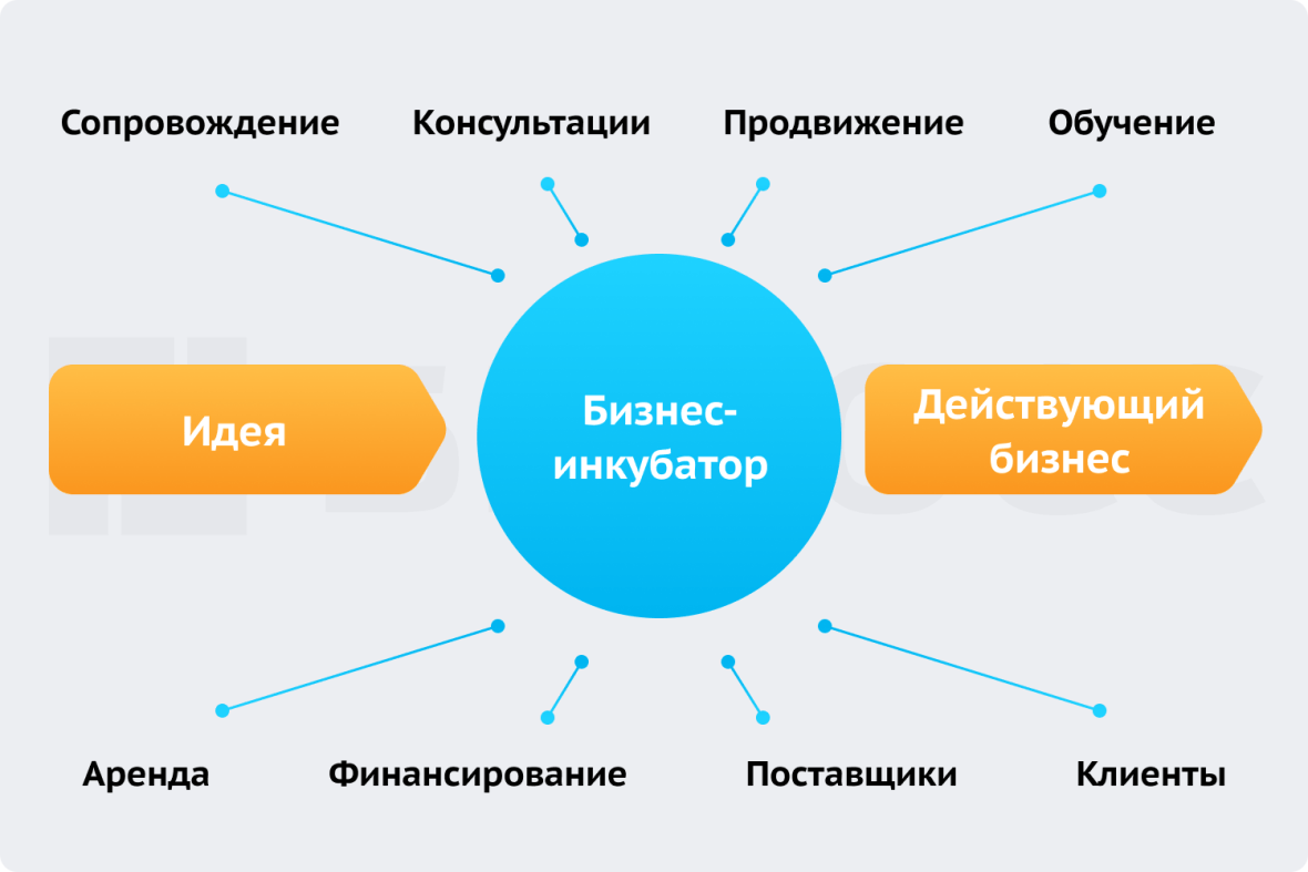 Как работает инкубатор