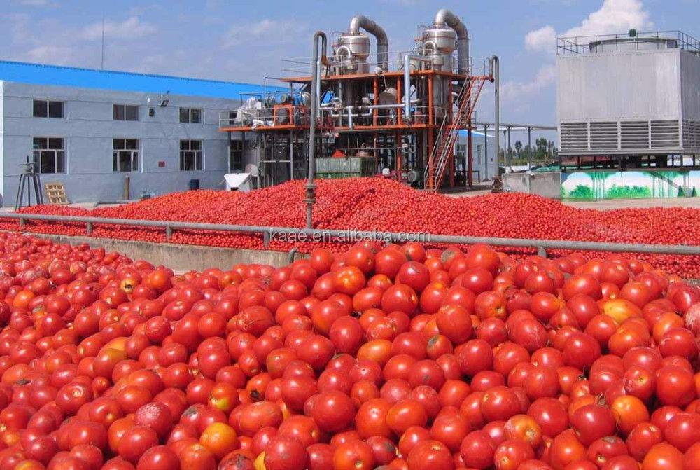 Импортозамещение. Переработка сельхозпродукции.