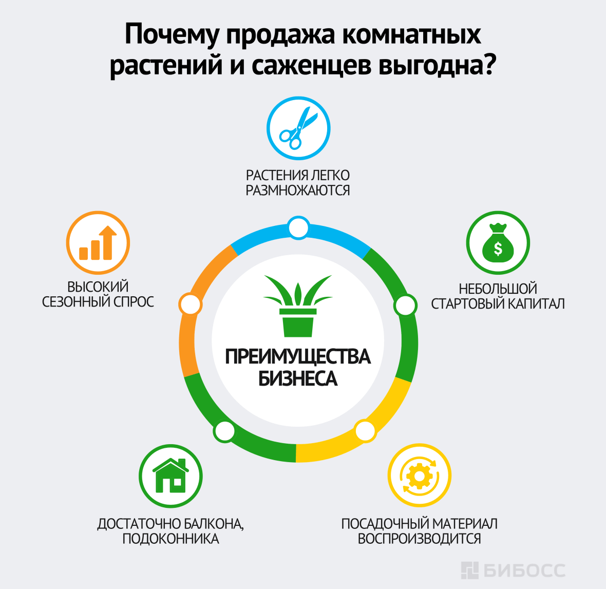 Почему продажа комнатных растений и саженцев выгодна