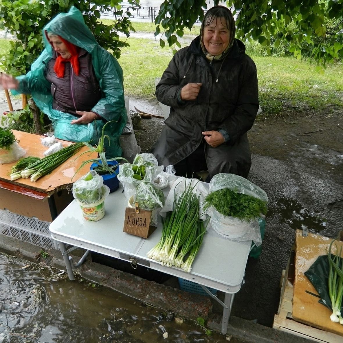 продажа зеленого лука на рынке
