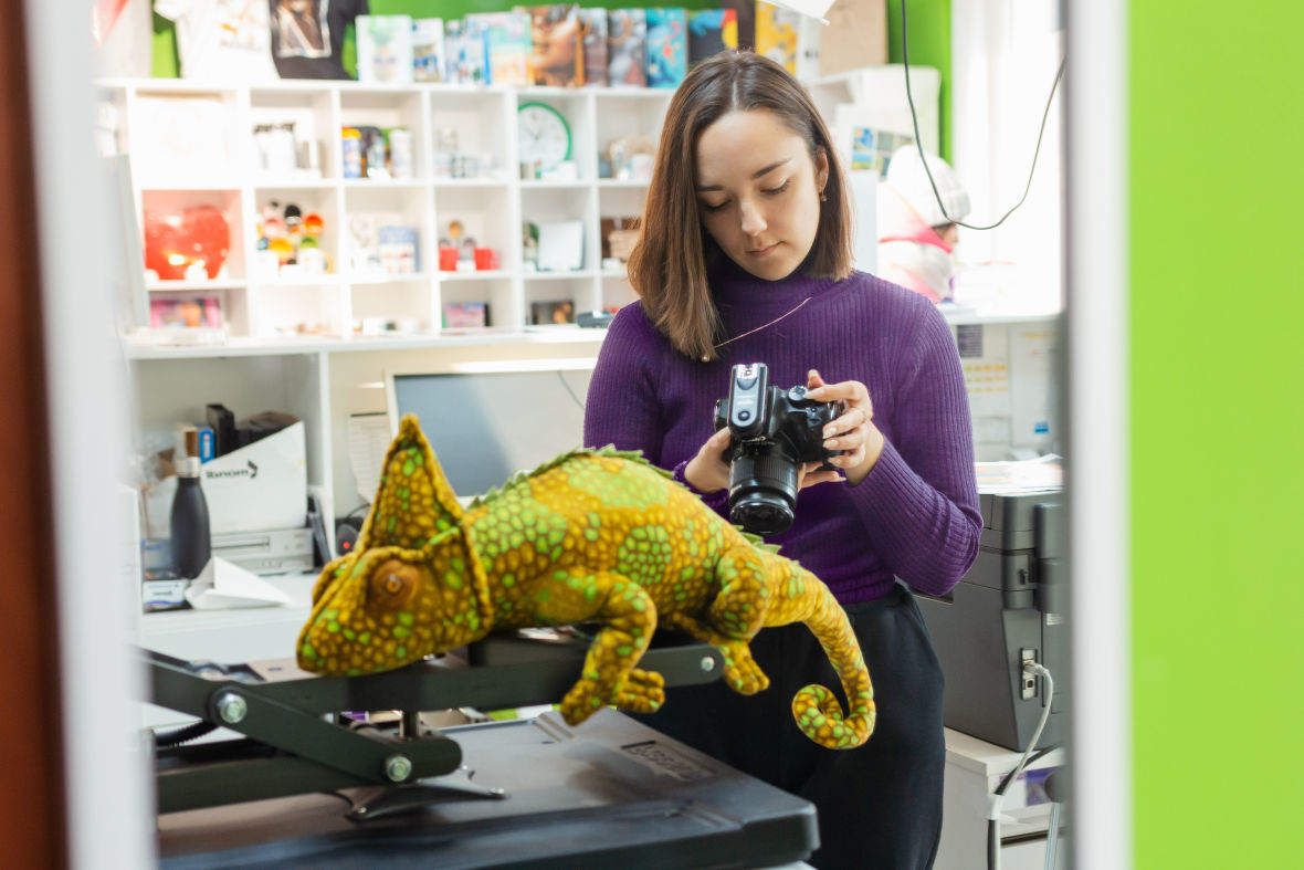 Франшиза Дом Хамелеона