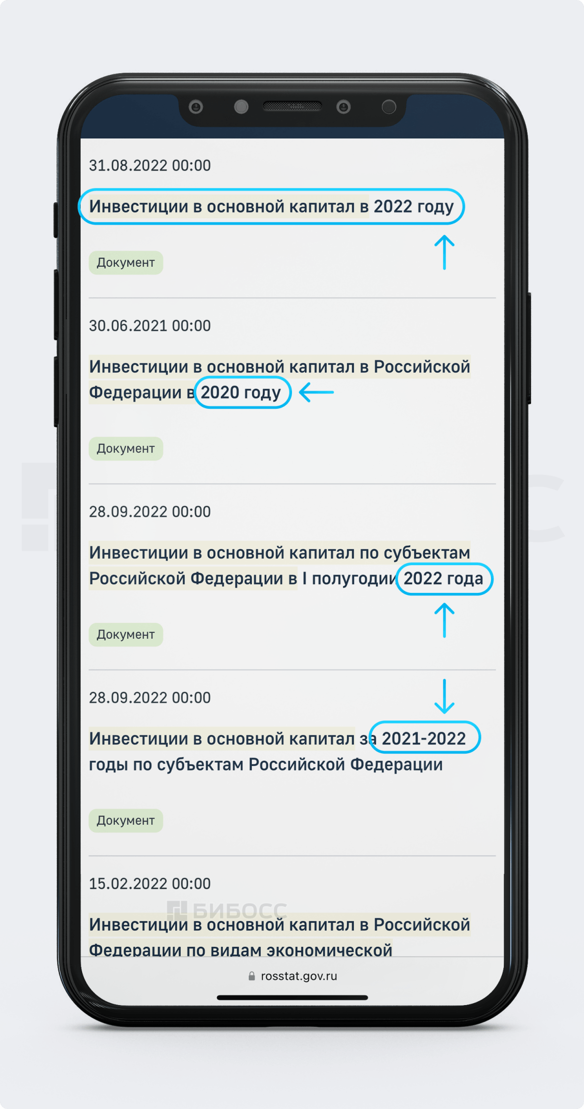 Скриншот из Росстата: поиск данных по инвестициям в основной капитал