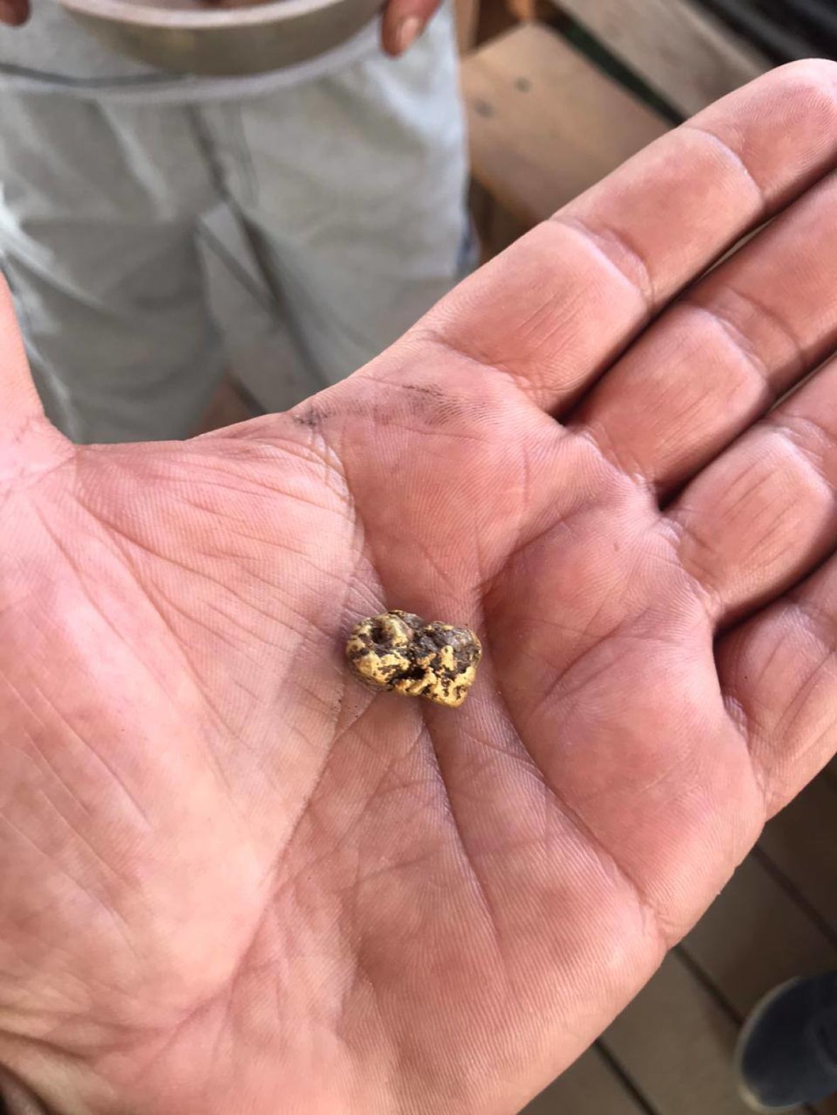 самородок из глубины сибирских руд