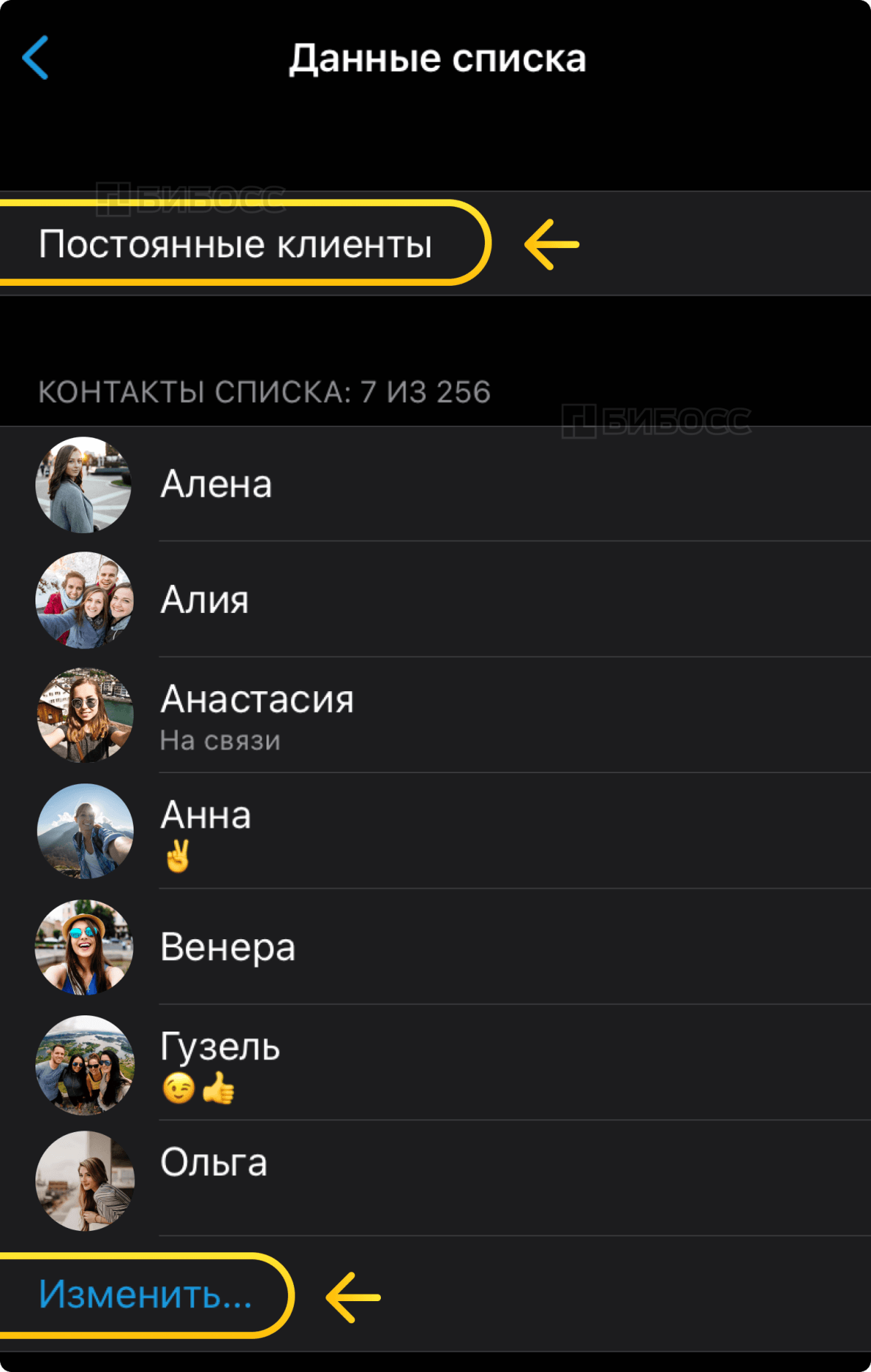 Изменение названия списка для рассылки в бизнес-аккаунте WhatsApp на iPhone.