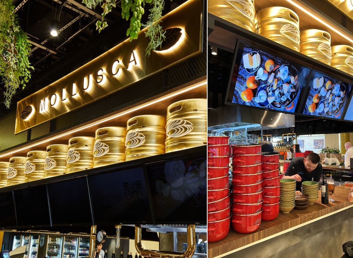 франшиза MOLLUSCA