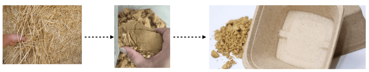 одноразовая посуда ЭКО