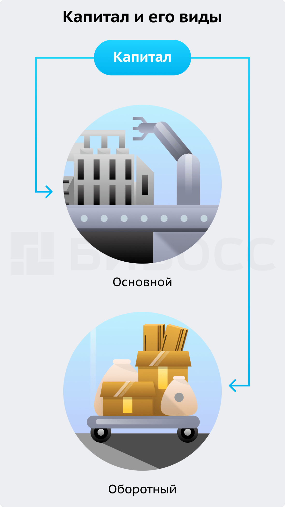 Виды капитала: основной и оборотный